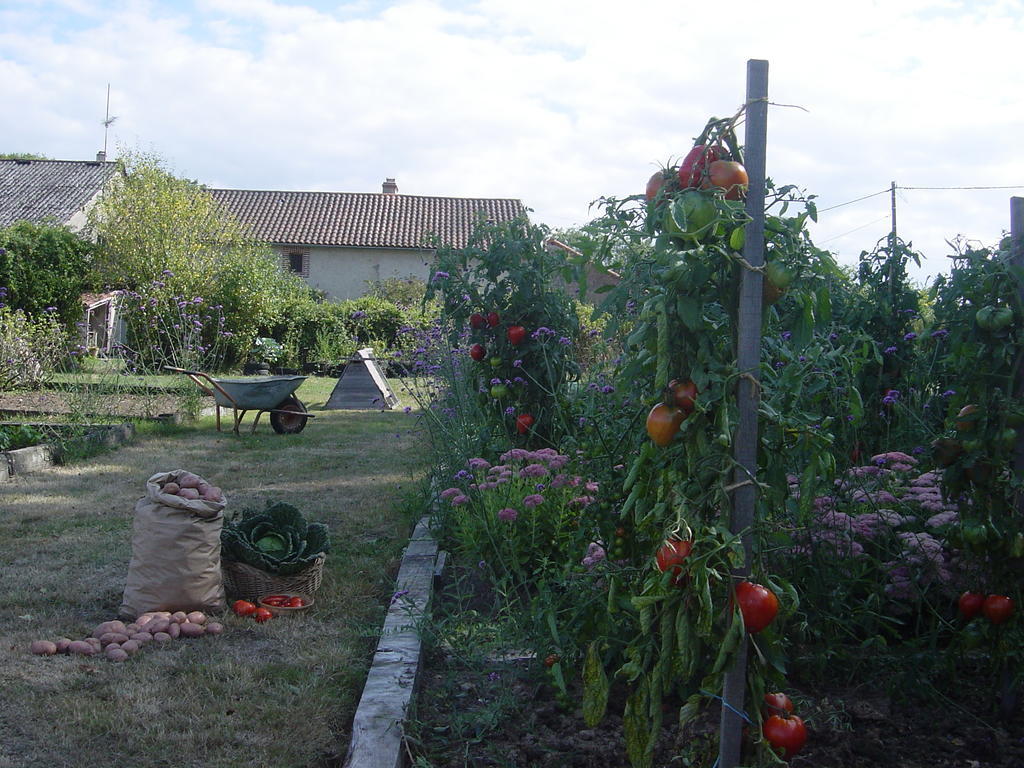 Chez Tartaud Villa Lathus St Remy Екстериор снимка