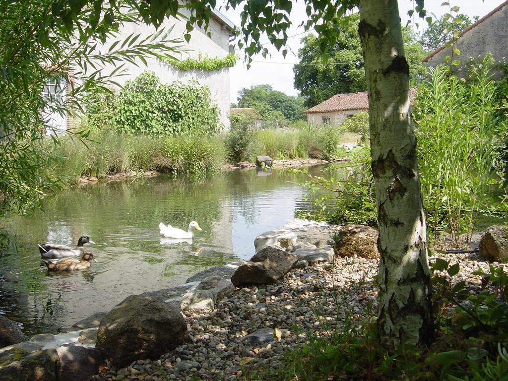 Chez Tartaud Villa Lathus St Remy Екстериор снимка